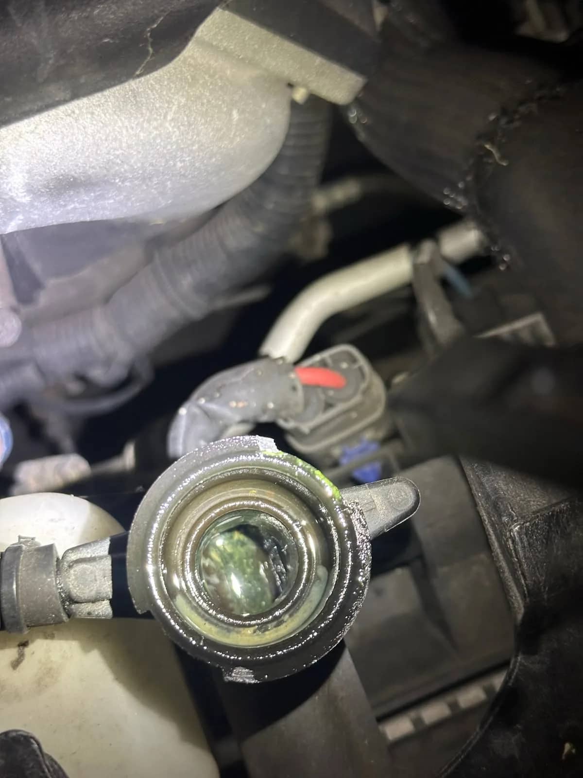 Close up of a radiator filler neck showing creamy, mayonnaise like oil and coolant contamination associated with a possible head gasket issue.